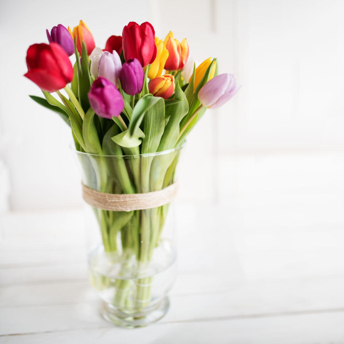 Vase of Tulips - Self-Care Reset